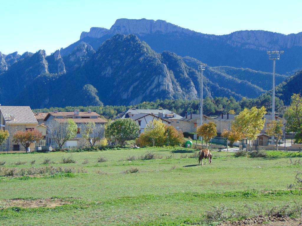 Piteus Casa Dionis Appartement